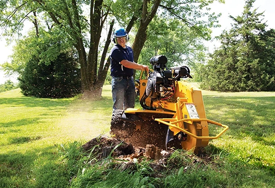 Benefits of Stump Grinding in Georgetown