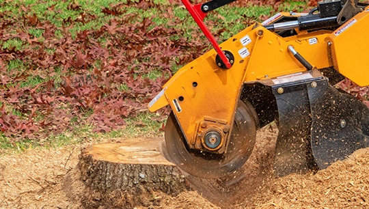 Comprehensive Stump Removal Solutions in Pflugerville