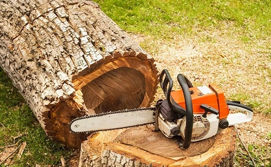 Emergency Tree Removal Services in Tarrytown