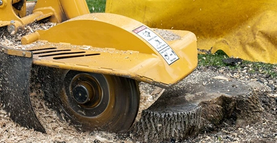 Expert Stump Grinding Solutions In Tarrytown