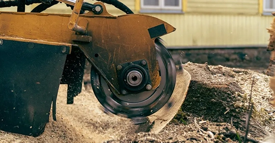 Professional Stump Grinding in Pflugerville