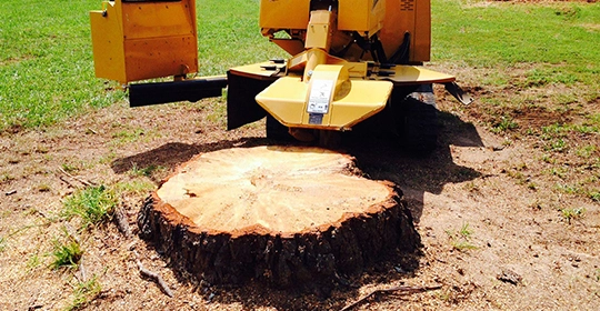 Stump Grinding Safety Measures in Austin